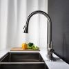 Stainless steel kitchen faucet